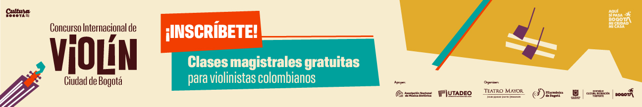 Banner violin web junio