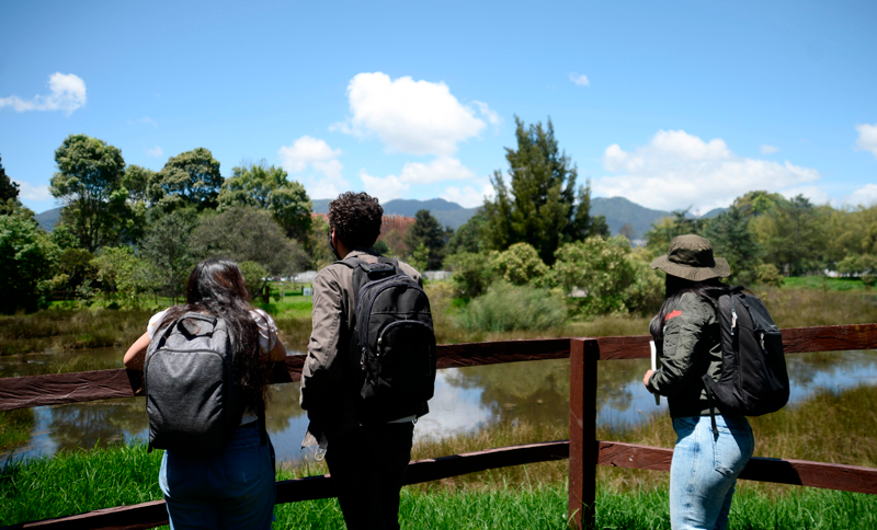 Personas en una caminata