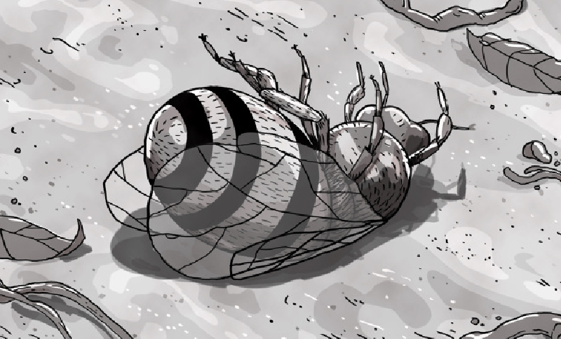 ilustración de una mosca