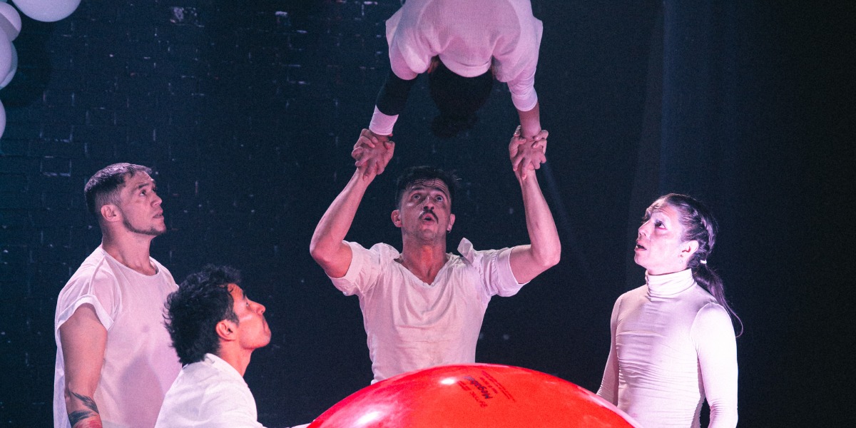 Miembros del circo implosión.