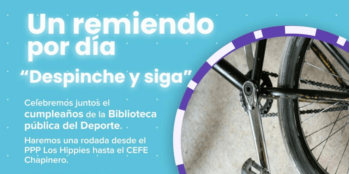 Afiche despinche.