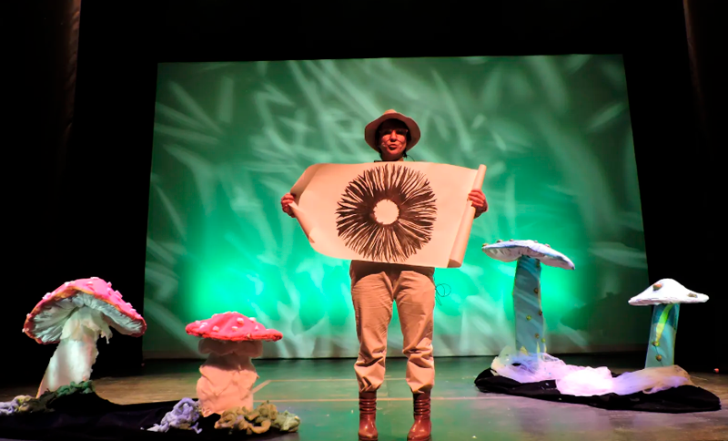 Fungísticas – Hongo Historias