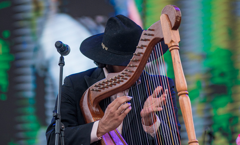 Artista tocando un arpa