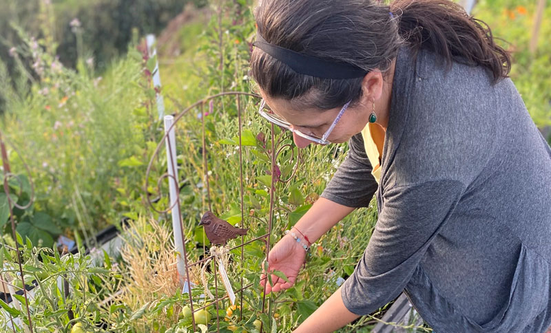 De la cocina a la tierra