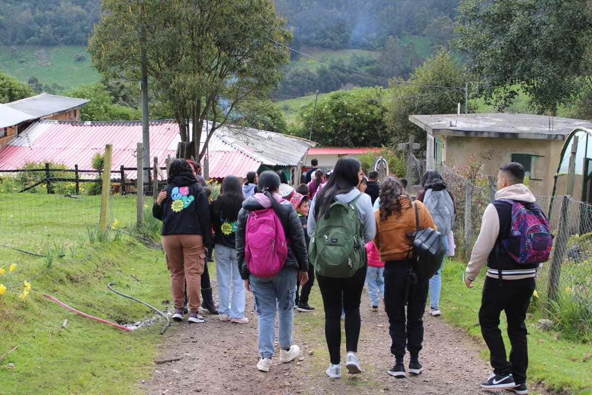 Libros buena vereda