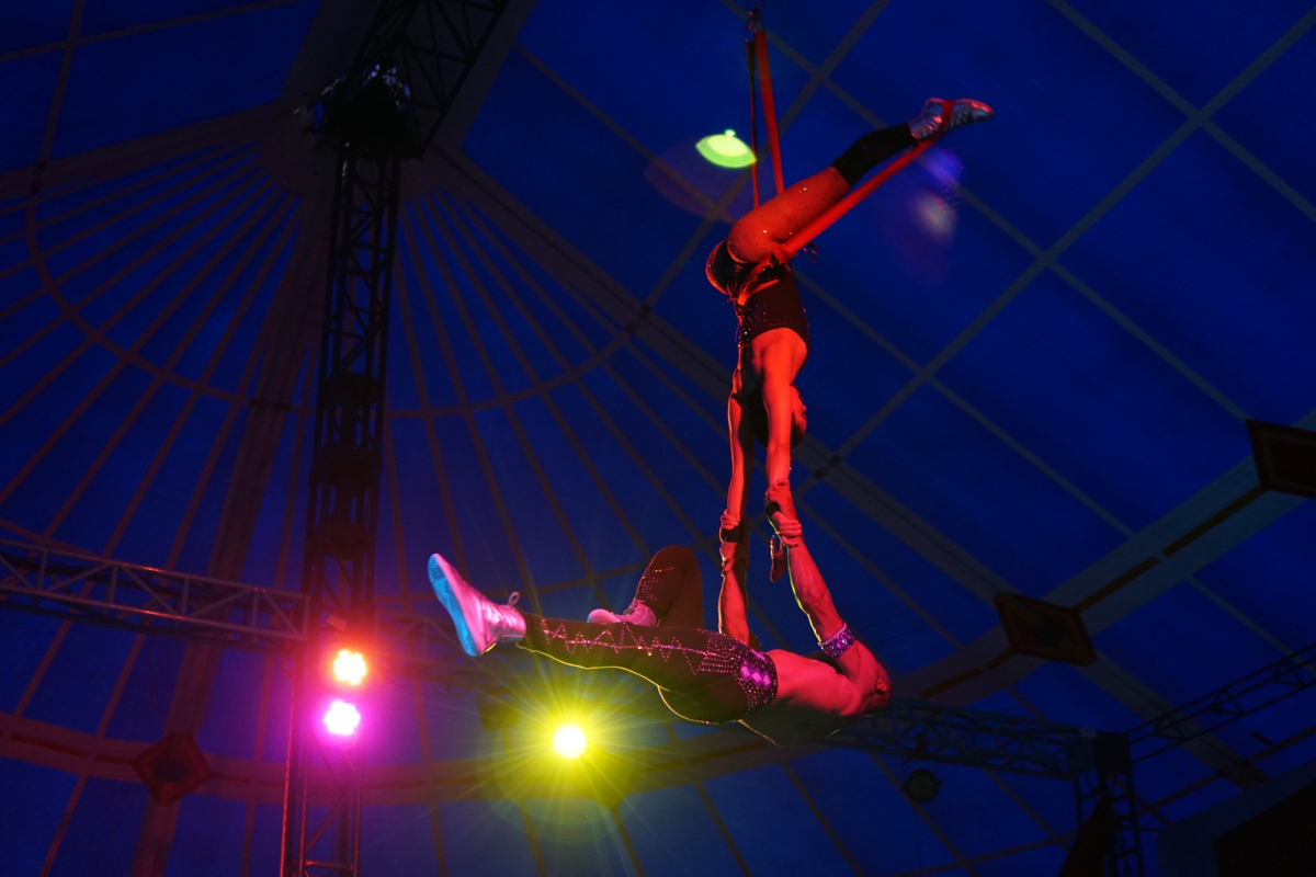 circo ciudad bolivar