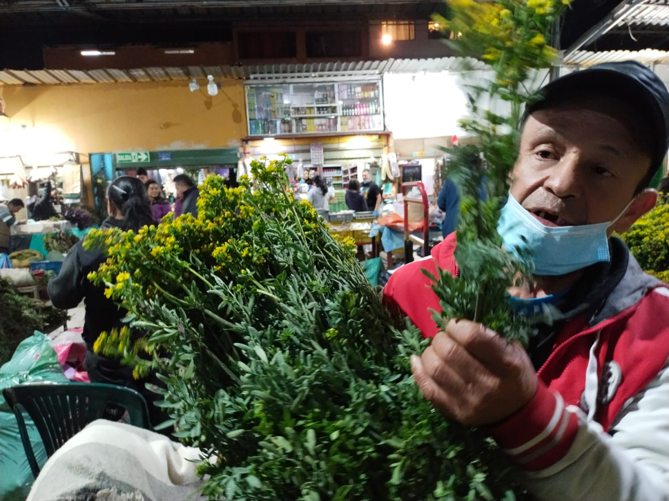 José Beltrán, comerciante de ruda en la Plaza Distrital Samper Mendoza