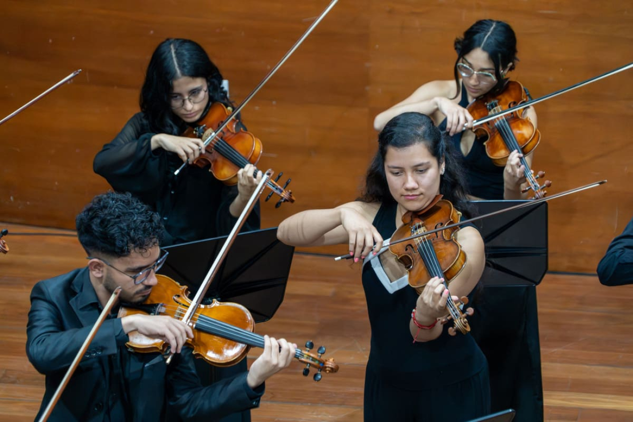 personas interpretando el violín