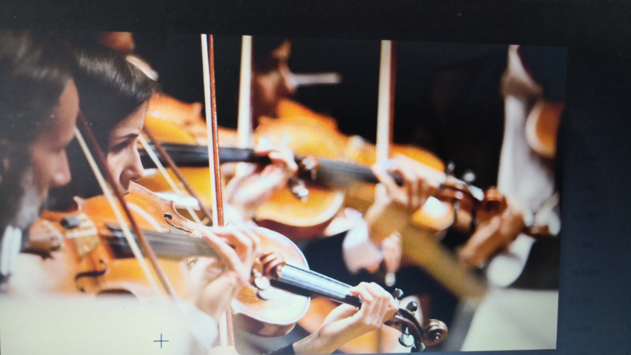 violin