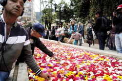 exposicion eje ambiental