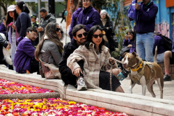 exposicion eje ambiental