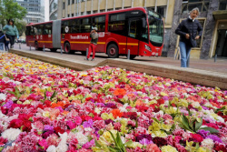 exposicion eje ambiental
