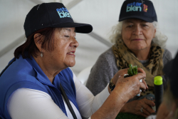 personas mayores departiendo juntas