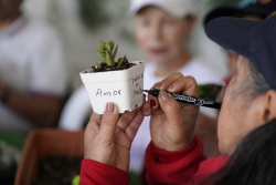 personas mayores departiendo juntas