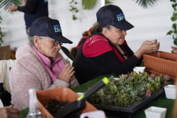 personas mayores departiendo juntas