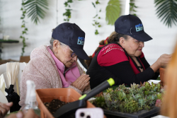 personas mayores departiendo juntas