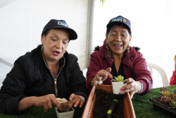 personas mayores departiendo juntas