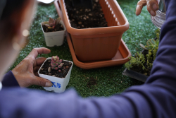 personas mayores departiendo juntas