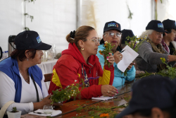 personas mayores departiendo juntas