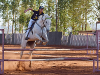 Equitación. Foto: Pixabay.