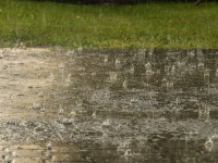 Lluvia sobre una acera