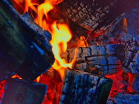 El carbón