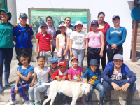 Consejos Consultivos de niños y niñas