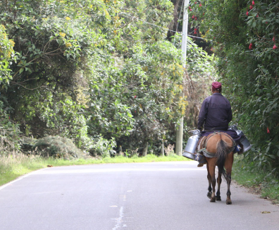 Persona montando bicicleta 