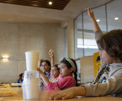 Niños y niñas alzando la mano
