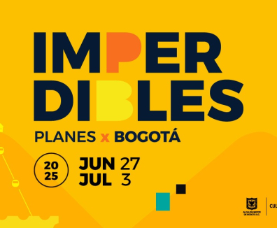 imagen de imperdibles