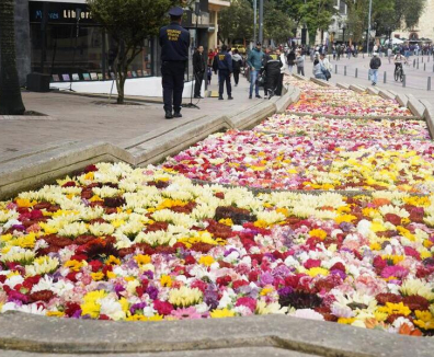 exposicion eje ambiental