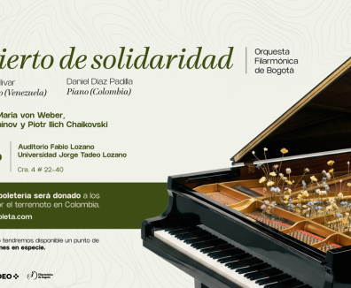 imagen concierto solidaridad