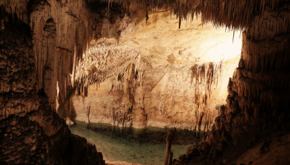 Cueva