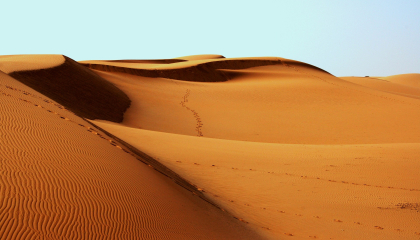 Un desierto