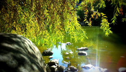 Río. Foto: Pixabay.