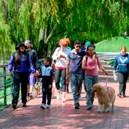 Caminata recreativa