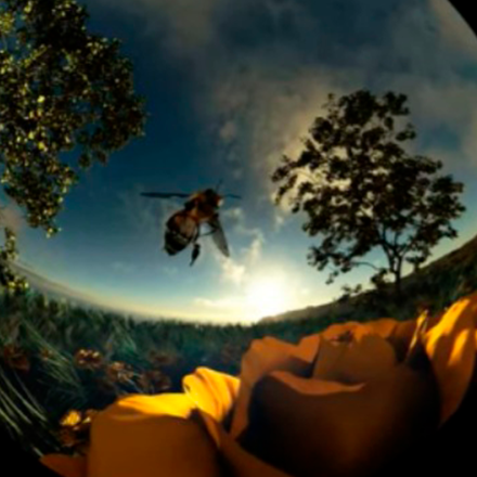 Franja Conversaciones inusuales