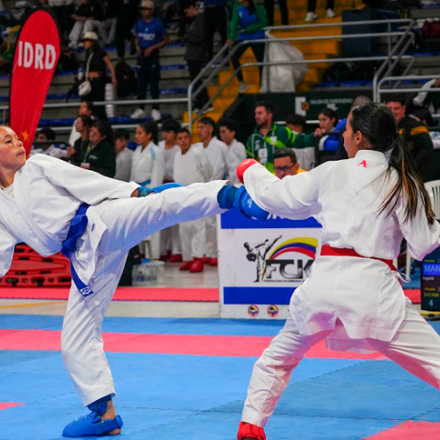 Taekwondo en el Palacio de los Deportes