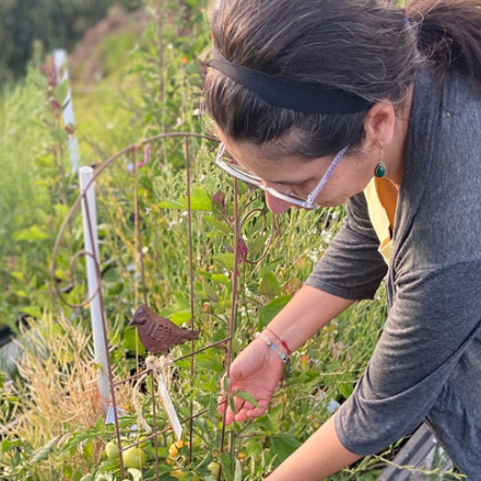 De la cocina a la tierra