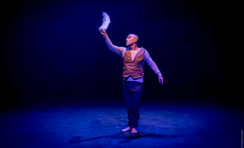 La Casa del Silencio presenta: Efímero