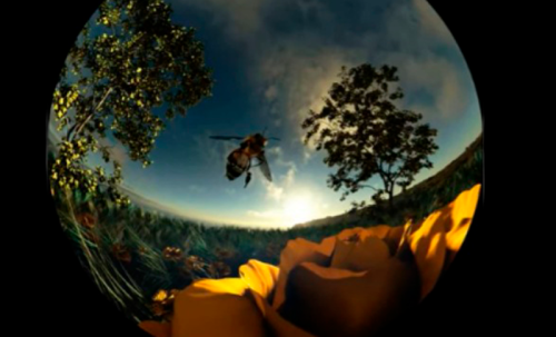 Franja Conversaciones inusuales