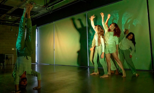 Maloka convierte el arte y la ciencia en una experiencia viva durante la Semana del Cerebro