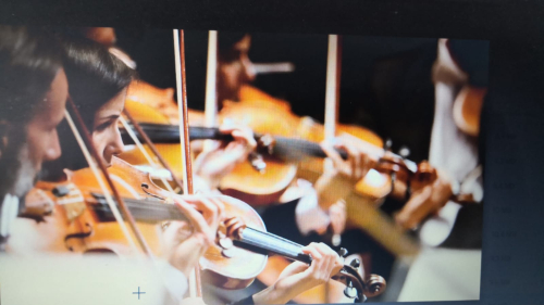 violin