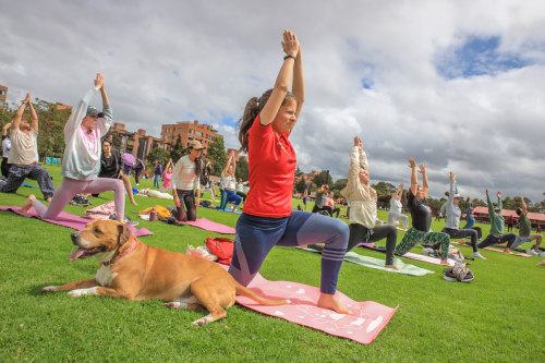 Mujer haciendo yoga al aire libre con su perro