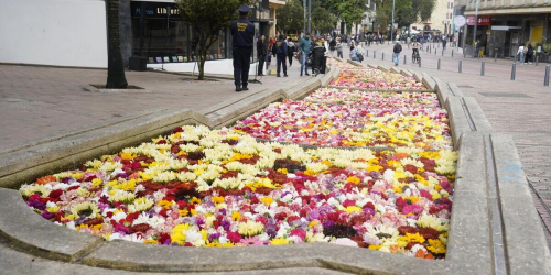 exposicion eje ambiental