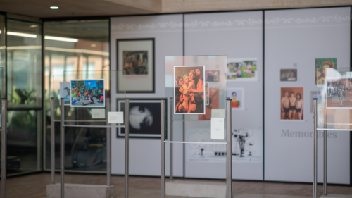 Fotografía de una exposición en el Centro Felicidad Chapinero