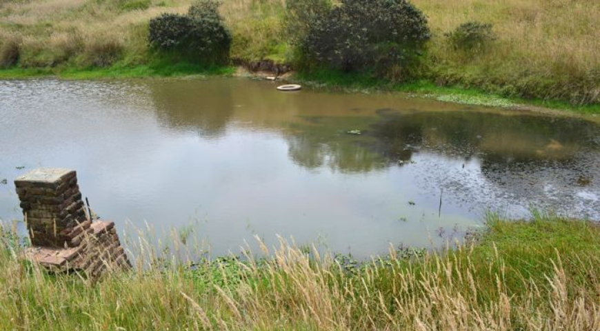 ¿Qué es la contaminación ambiental?