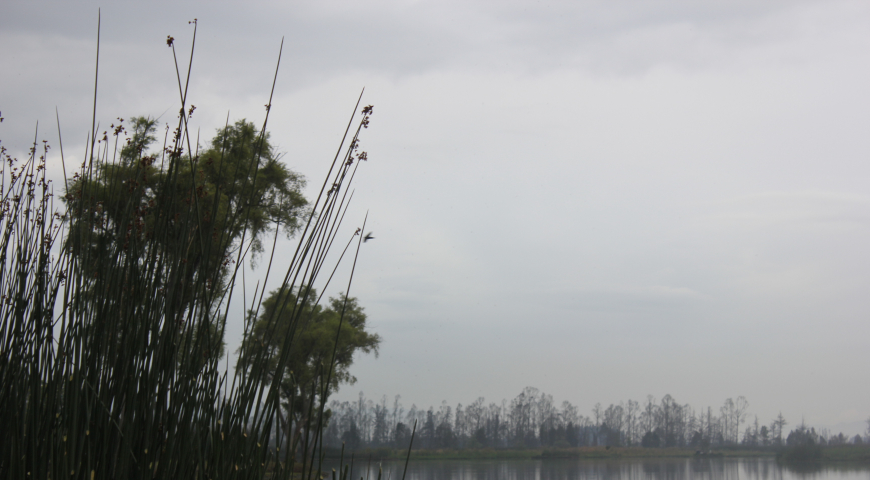 Nuestro planeta y los ecosistemas