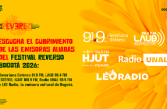 Imagen Reverso