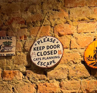 El Gato que lee y bebe una semana de encuentro cultural